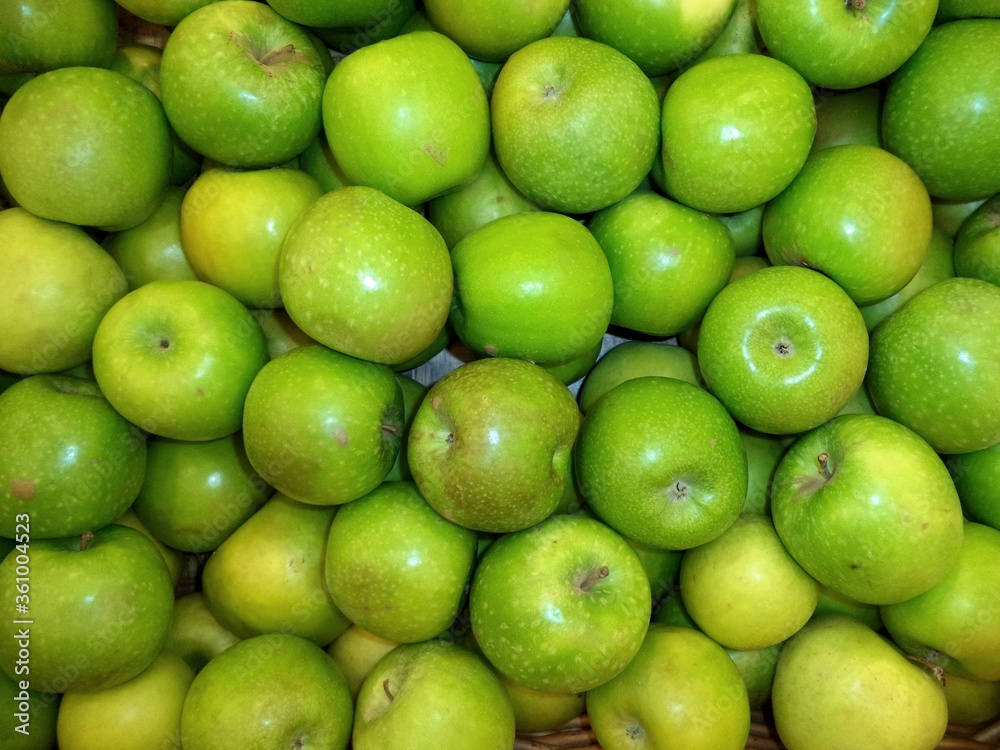 fresh ripe green apples of the new crop fresh ripe green apples of the new crop