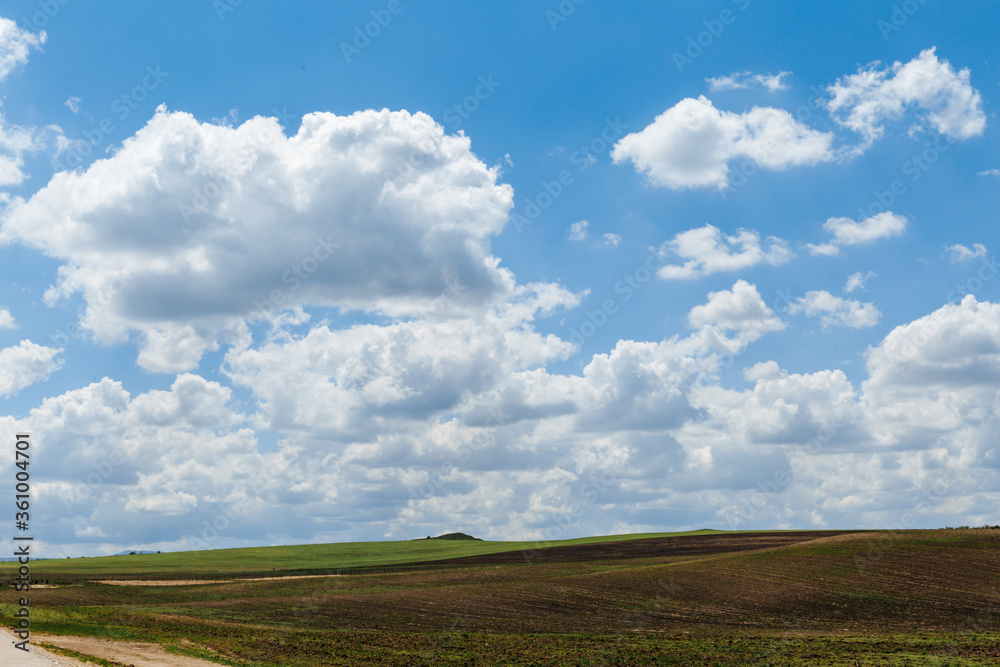 Green meadow under blue sky with clouds. Beautiful nature, landscape Green meadow under blue sky with clouds. Beautiful nature, landscape