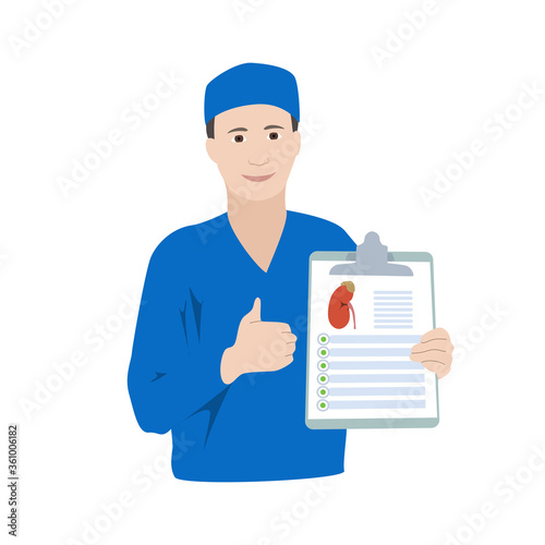 Healthy kidney, adrenal gland. Smiling doctor with diagnosis, patiant card. Thumb up. Medical flat anatomy illustration.