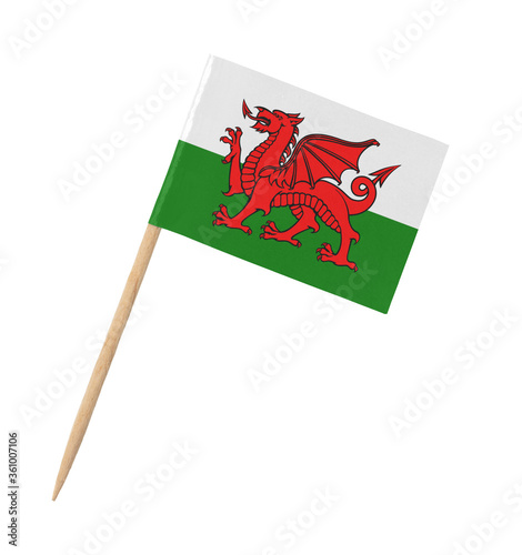 Canvastavla Small paper flag of Wales on wooden stick