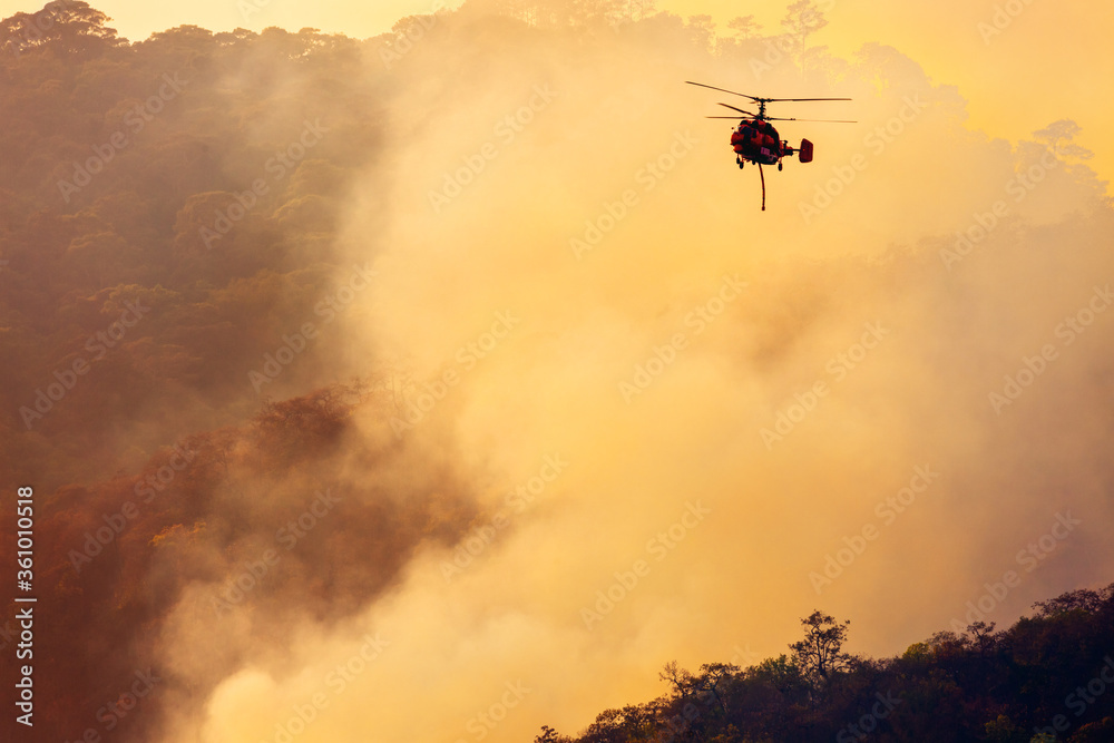 Obraz Firefighting helicopter dropping water on forest fire