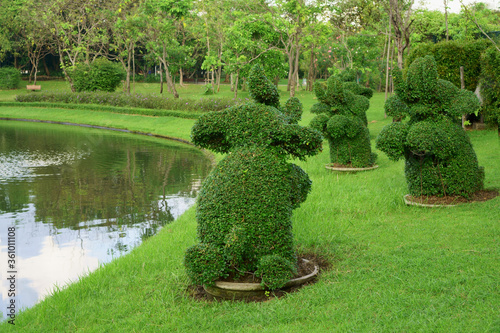 Happy Elephants shape bush standing on lawn near a pond in public park and trees on background photo