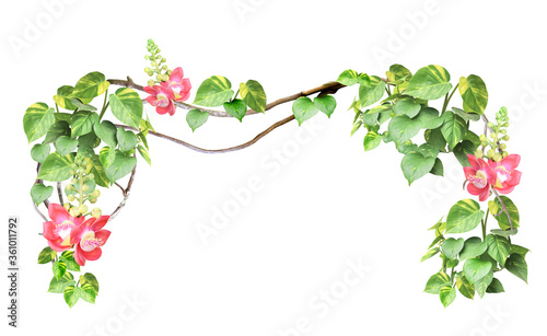 Obraz na plátně Frame with liana branches, flower and tropical leaves