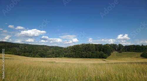 Wiese im Rheingau im Spätsommer