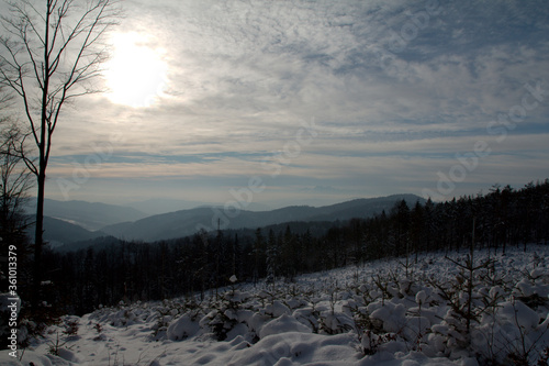 zimowy krajobraz w górach