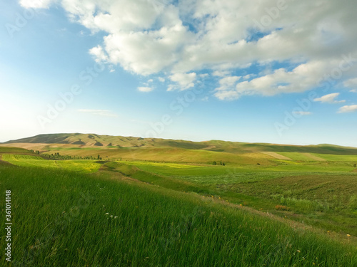 Beautiful spring and summer landscape. Lush green hills. Spring blooming herbs.