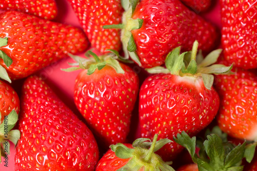 Ripe juicy orgaic strawberries on a red background. photo