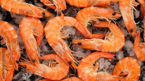 fresh shrimps on ice, closeup