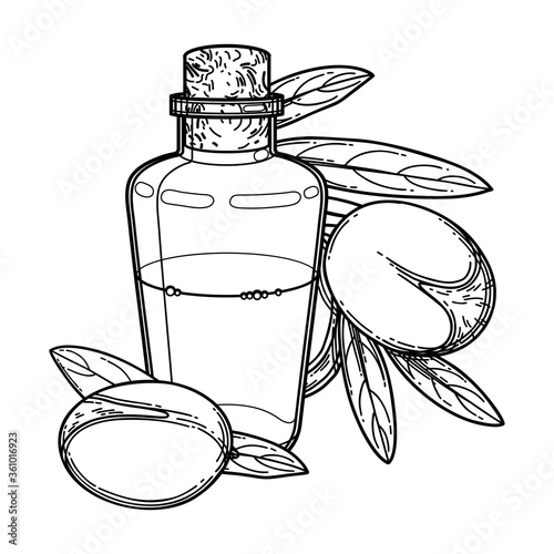 Graphic oil bottle surrounded by argan plants