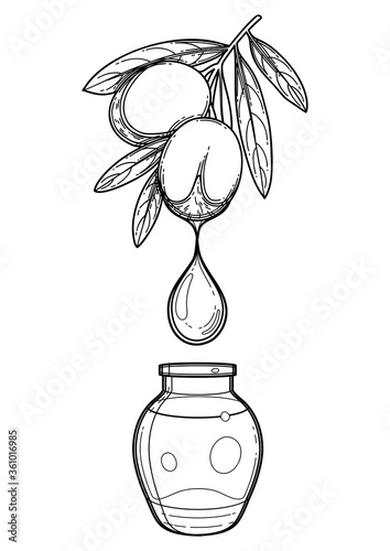Graphic oil drop dripping from the argan plant into the small glass bottle
