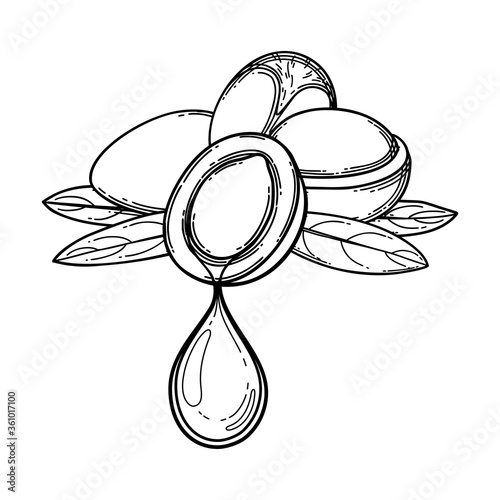 Graphic oil droplet dripping from the argan plant.