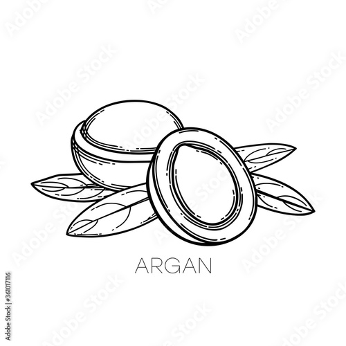 Two graphic argan fruits decorated with leaves