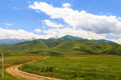 Beautiful spring and summer landscape. Mountain country road among green hills.