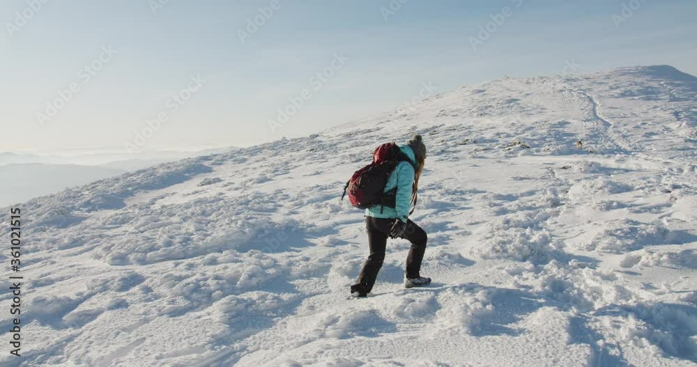 woman in blue jacket hiking outdoors in snowy mountains with two siberian husky dogs. Hiker with dogs against beautiful winter mountain background. Active lifestyle and travel remote places concept woman in blue jacket hiking outdoors in snowy mountains with two siberian husky dogs. Hiker with dogs against beautiful winter mountain background. Active lifestyle and travel remote places concept
