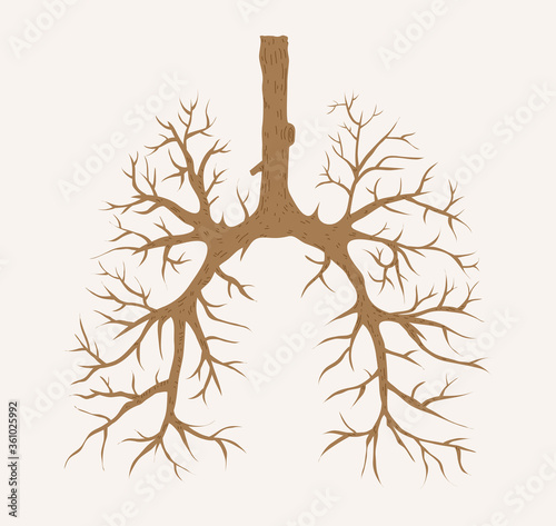 Dead tree Lungs, dead tree branches with no leaves in a shape of human lungs, vector illustration.