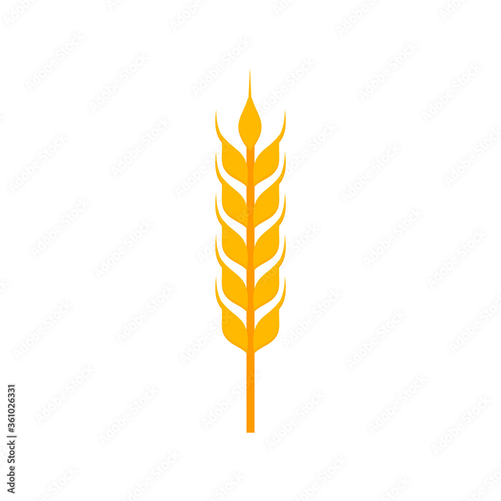 Wheat ear flat, Golden wheat ears icon, vector illustration isolated on white background Wheat ear flat, Golden wheat ears icon, vector illustration isolated on white background