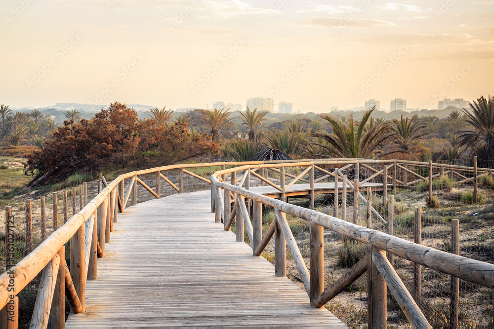 wooden access surrounded by Mediterranean vegetation to protect the sand dunes of the natural park. Guardamar, Spain