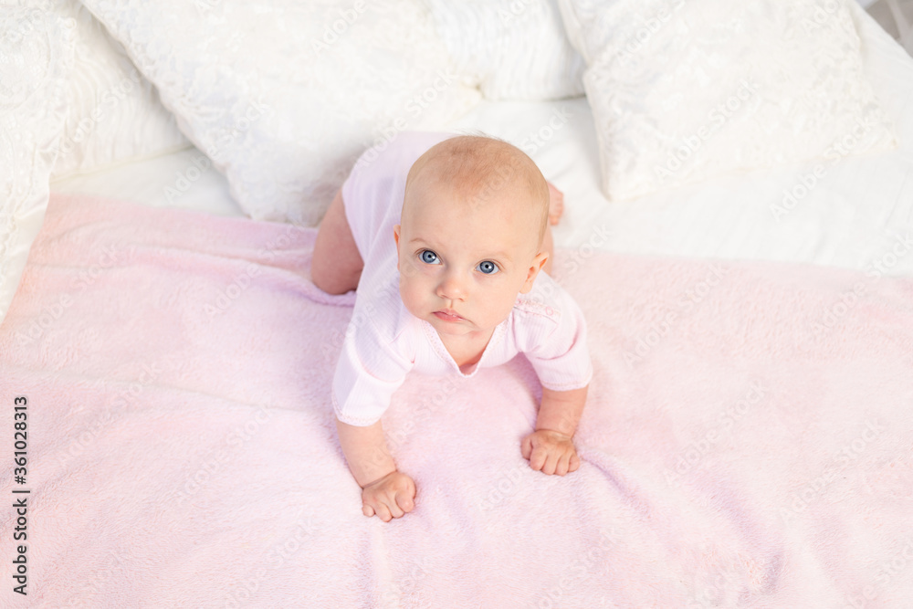 small baby girl 6 months old crawling on a white and pink bed at home, looking away, top view, place for text small baby girl 6 months old crawling on a white and pink bed at home, looking away, top view, place for text