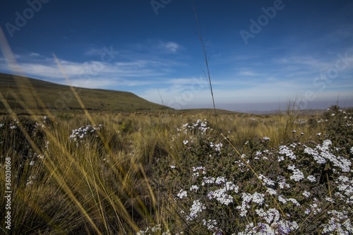 Landscape shot taken at MÃ©danos de Samalayuca Natural Protected Area El Mexico photo