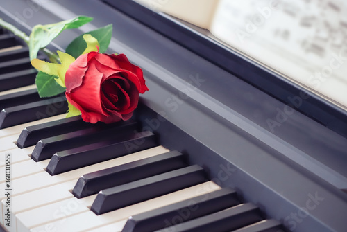 Music and love concept.Red rose on piano keyboard.