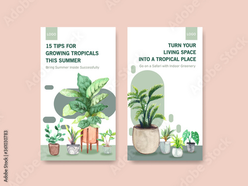  Instagram template design with summer plant and house plants for social media,online community,internet and advertise watercolor illustration