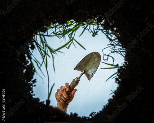 View of a garden trowel or spade seen from inside the earth.  Garden being weeded and dug up as seen from below the ground