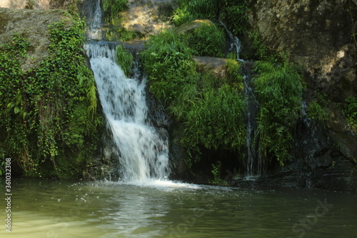 Salt de Can Batlle   Waterfall with moss  Olot 