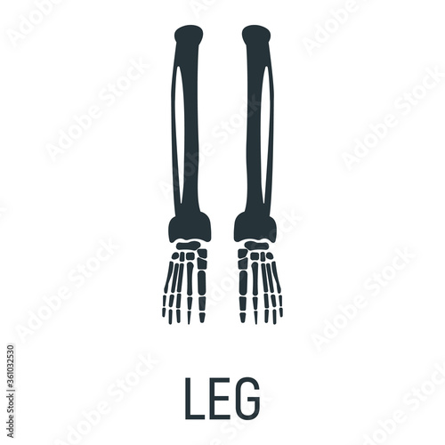 Leg bone, x-ray concept icon, roentgen human body image isolated on white, flat vector illustration. Skeleton part of man organism.