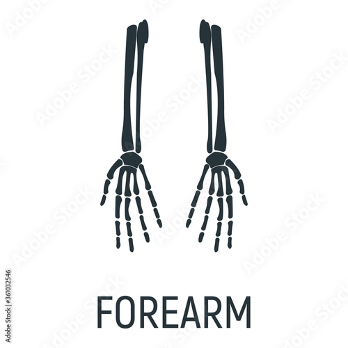 Arm hand bone, x-ray concept icon, roentgen human body image isolated on white, flat vector illustration. Skeleton part of man organism.