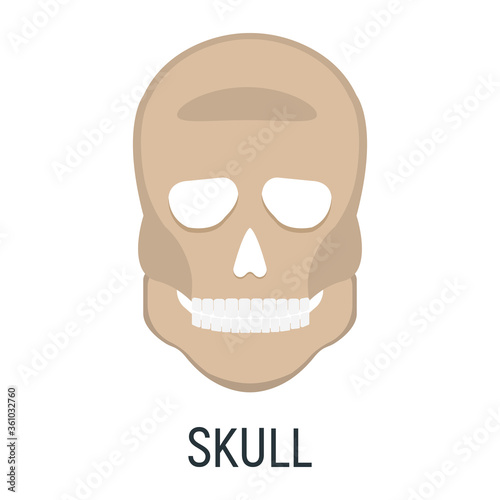 Head skull bone, x-ray concept icon, roentgen human body image isolated on white, flat vector illustration. Skeleton part of man organism.