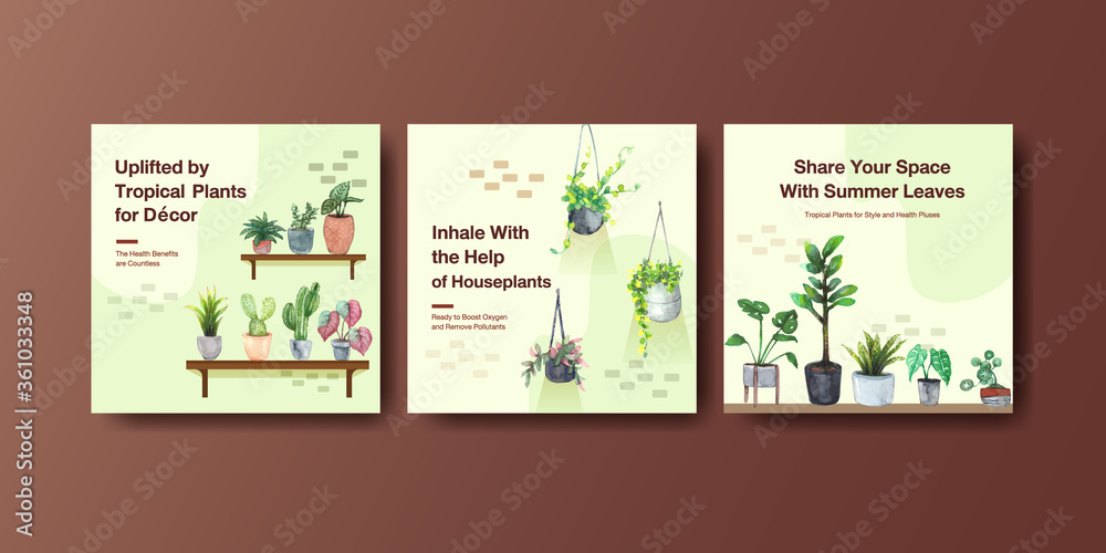 Summer plant and house plants advertise template design for leaflet,brocure and booklet watercolor illustration