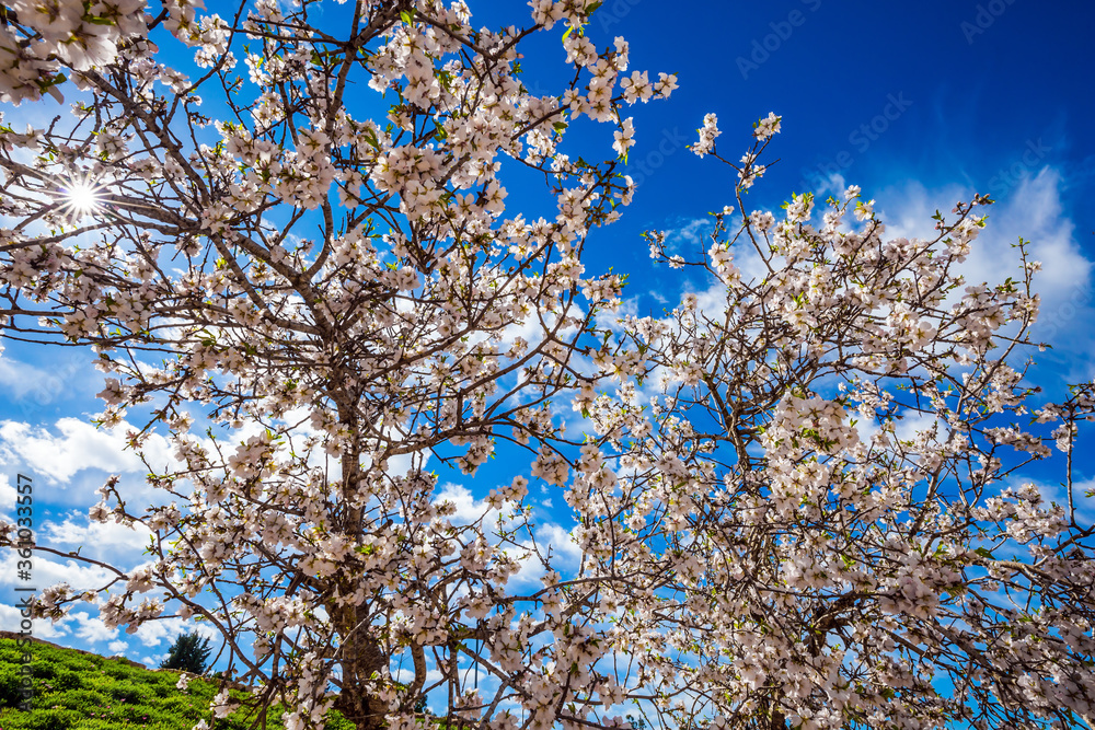  Light spring clouds