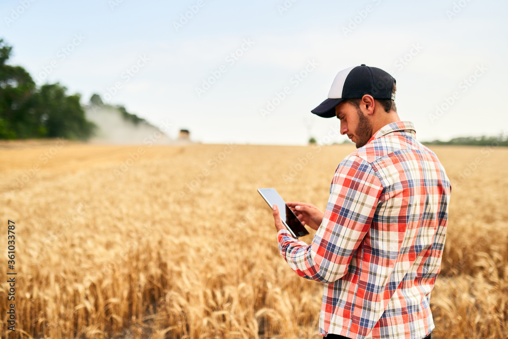 Smart farming using modern technologies in agriculture. Man agronomist farmer holding digital tablet computer standing in a wheat field and using apps, internet for business management and analytics. - obrazy, fototapety, plakaty 