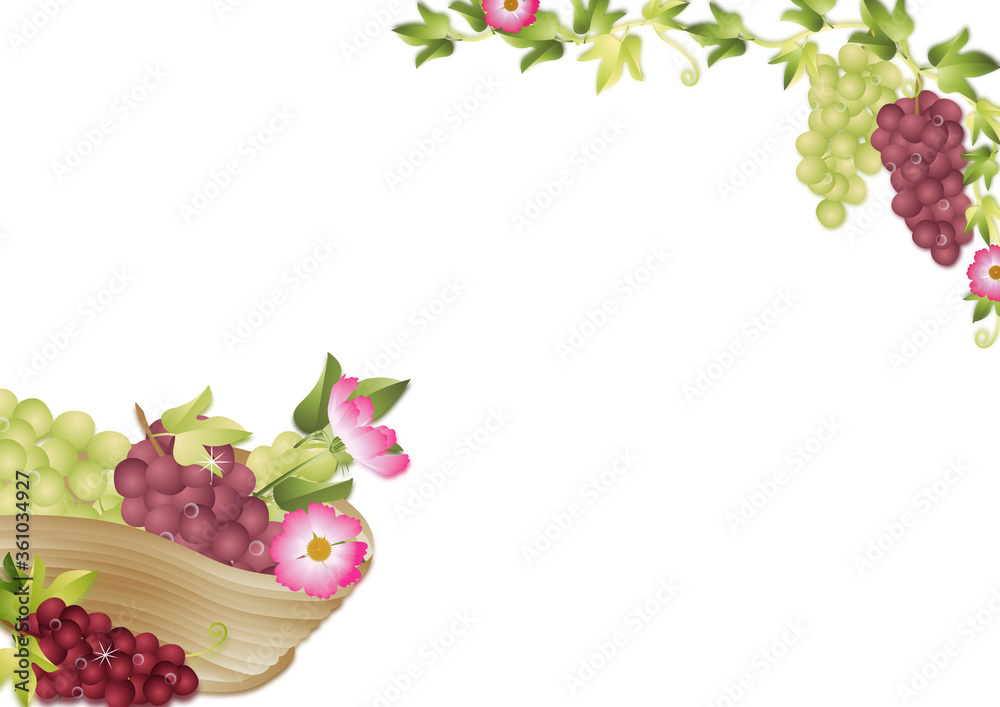 ブドウとコスモスバスケットのイラスト背景素材縦型 Stock Illustration Adobe Stock