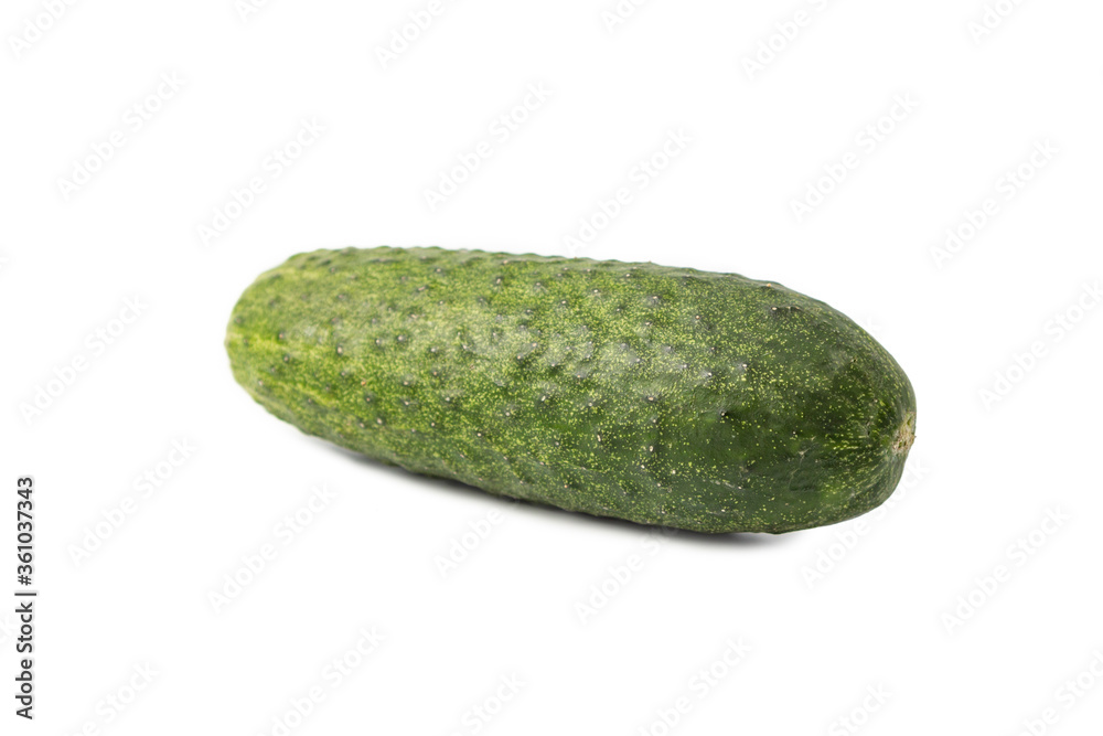 Green cucumber isolated on a white background. Grown at home. 