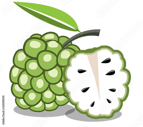 custard apple flat icon on white background