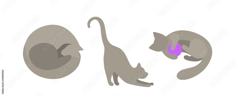 Set of vector silhouettes of gray cats in flat style. The cat curled up and sleeps, the cat stretches its paws forward, the cat plays with a purple ball. Isolated on a white background cats