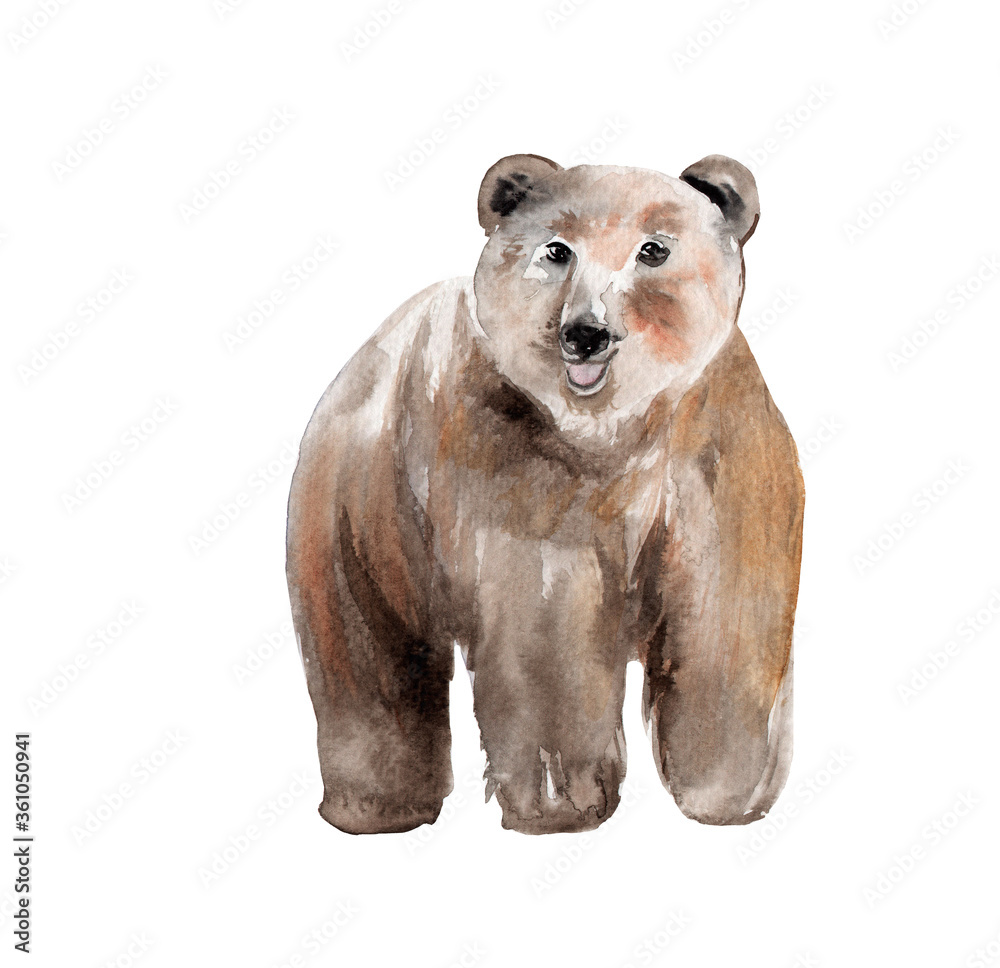 Naklejka premium watercolor drawing of a forest animal - brown bear