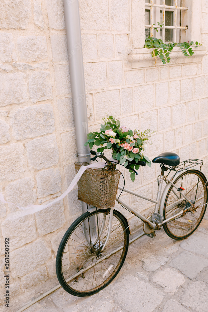 bridal bouquet of pink roses, branches of eucalyptus tree, capsella and white ribbons on the bicycle