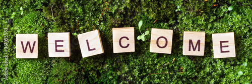 Word welcome. The word welcome is written on a background of moss. The letters on the wooden blocks add up to the word welcome. The view from the top. Banner