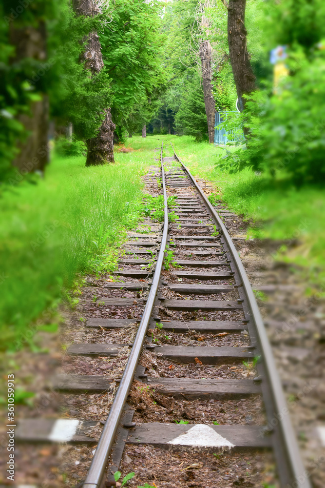 Narrow gauge railway in the forest. Path of metal rails and wooden sleepers. Vertical layout. Concept of tourism, life, movement. Tilt-shift effect. Selective focus.