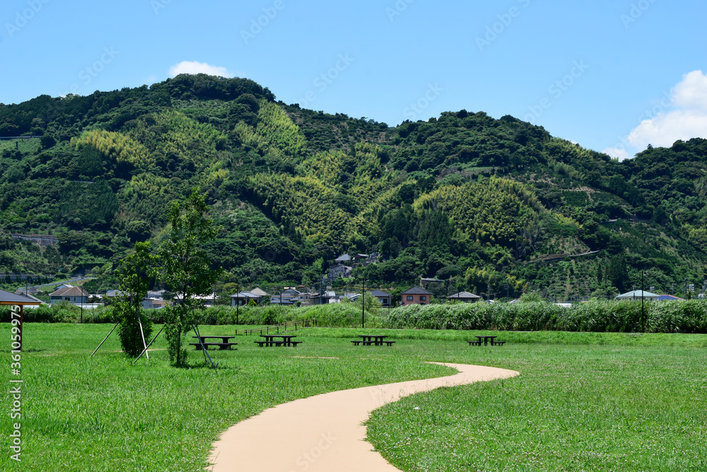静岡市の風景　あさはた緑地　麻機遊水地の初夏
