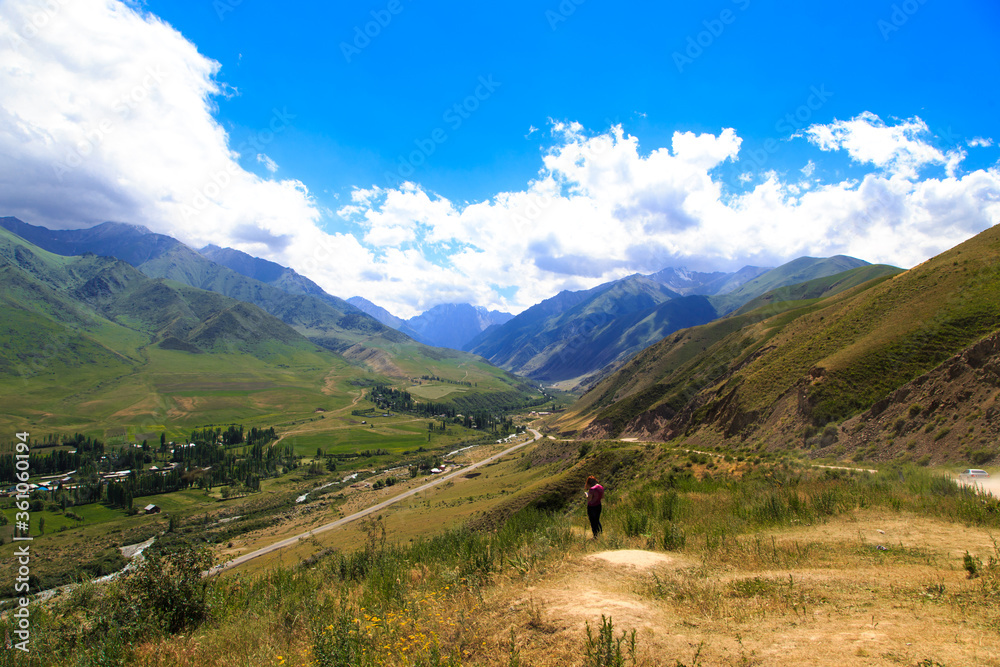 Beautiful spring and summer landscape. Lush green hills. Spring blooming herbs.