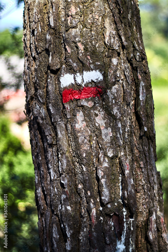 Naklejka premium Tree with white and red marking of a long-distance trail