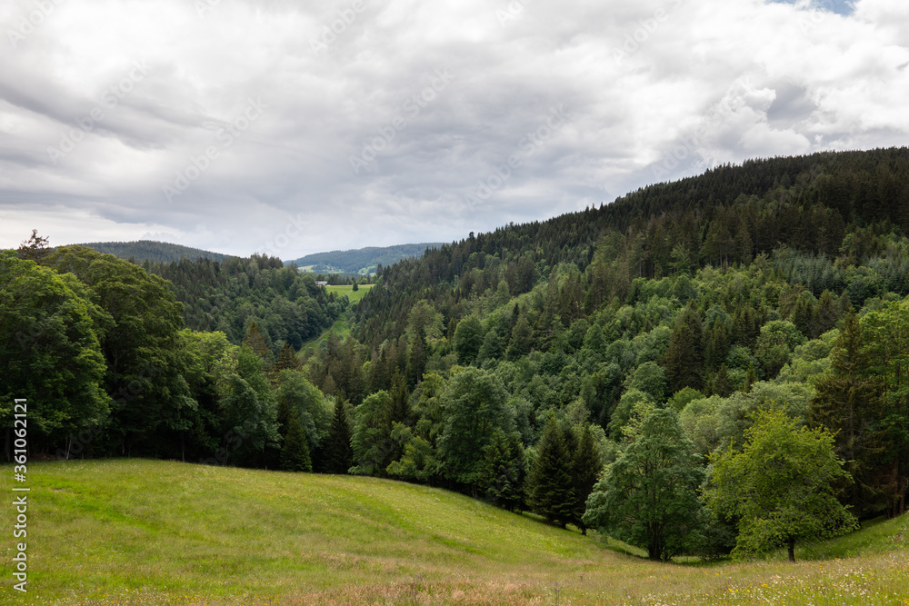 Im Schwarzwald