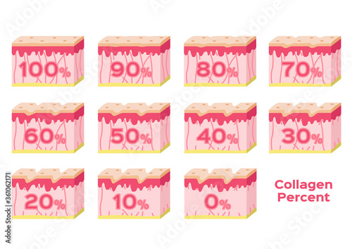 collagen in younger skin and aging skin , 3 type collagen skin version on white background
