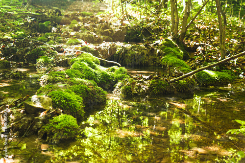 Beautiful quiet inflow of a mountain stream in a bright summer forest. Green moss on stones shimmers in different shades in a sunny forest. Camping in the woods.