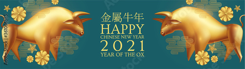 Happy Chinese new Year 2021 The year of the metal ox. Chinese traditional text means year of the ox . Holiday greetings with realistic 3D metal golden ox character.