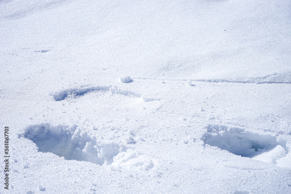 【冬景色イメージ】雪原についた足跡