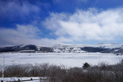 【冬イメージ】雪に覆われた湿原